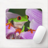 Agalychnis callidryas. mousepad (Mit Mouse)