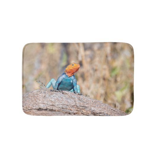 Agama Badematte (Vorderseite)