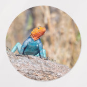 Agama Etiketten (Design 1)