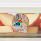 Agama Etiketten (Befestigt)