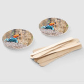 Agama Fächer (Non-assembled)