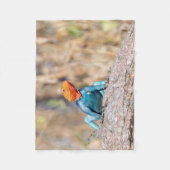 Agama Fleecedecke (Vorderseite)