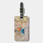 Agama Gepäckanhänger (Vorderseite vertikal)