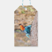 Agama Geschenkanhänger (Rückseite)