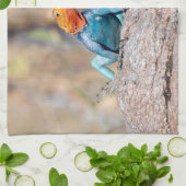 Agama Geschirrtuch (Gefaltet)