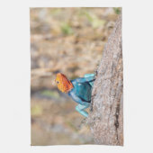 Agama Geschirrtuch (Vertikal)