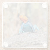 Agama Glasuntersetzer (Rückseite)