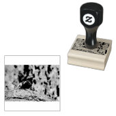 Agama Gummistempel (Stempel)