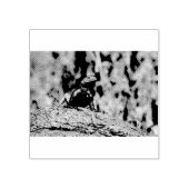 Agama Gummistempel (Prägung)