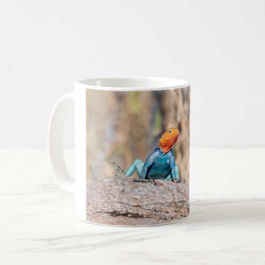 Agama Kaffeetasse (Vorderseite Links)