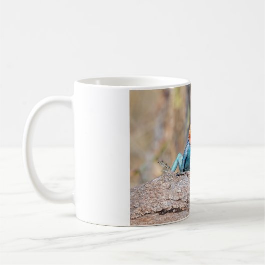 Agama Kaffeetasse (Links)