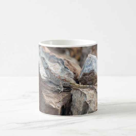 Agama Kaffeetasse (Mittel)