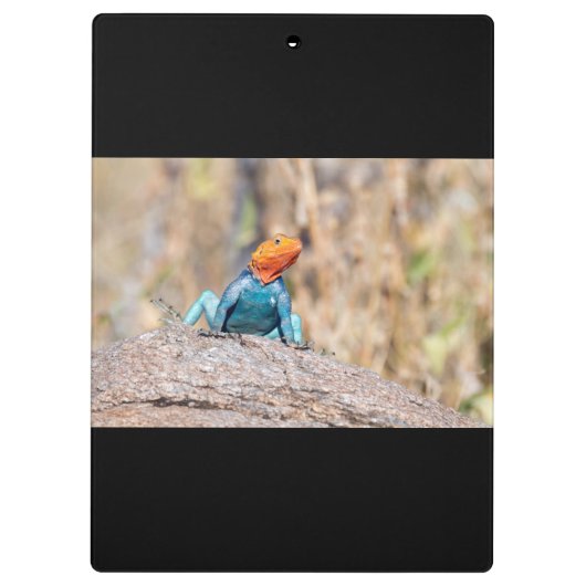 Agama Klemmbrett (Rückseite)