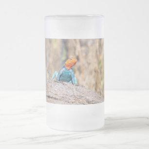 Agama Mattglas Bierglas