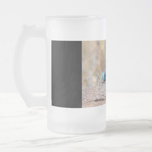 Agama Mattglas Bierglas (Links)