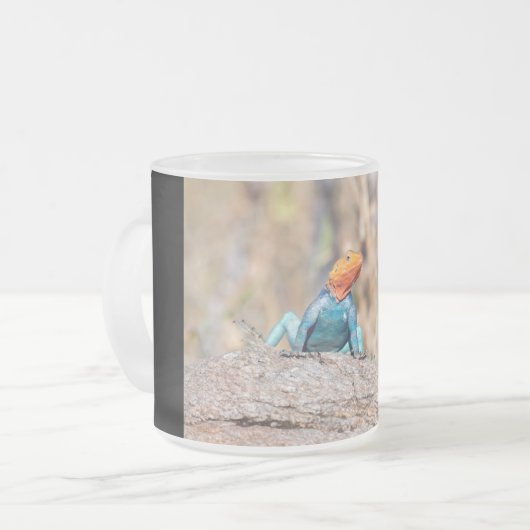 Agama Mattglastasse (Vorderseite Links)