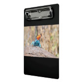 Agama Mini Klemmbrett (Gewinkelt2)