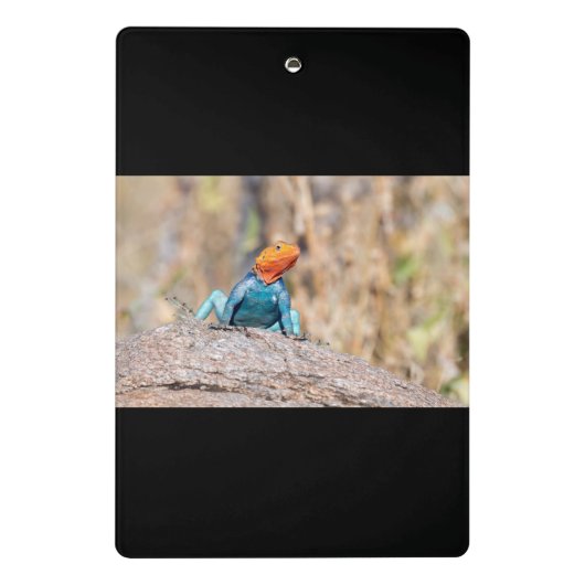 Agama Mini Klemmbrett (Rückseite)