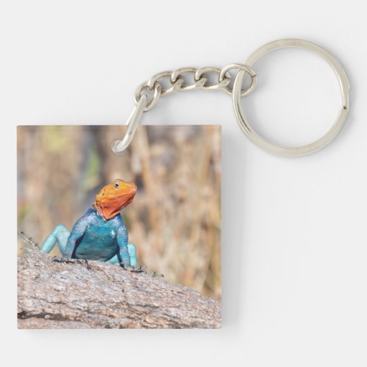 Agama Schlüsselanhänger (Rückseite)