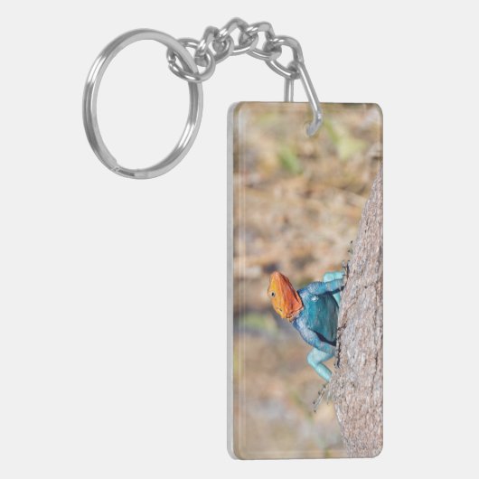 Agama Schlüsselanhänger (Vorderseite links)