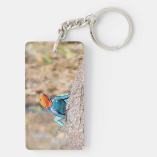 Agama Schlüsselanhänger