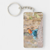 Agama Schlüsselanhänger (Vorderseite)