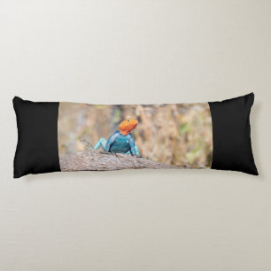 Agama Seitenschläferkissen