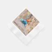 Agama Serviette (Ecke)