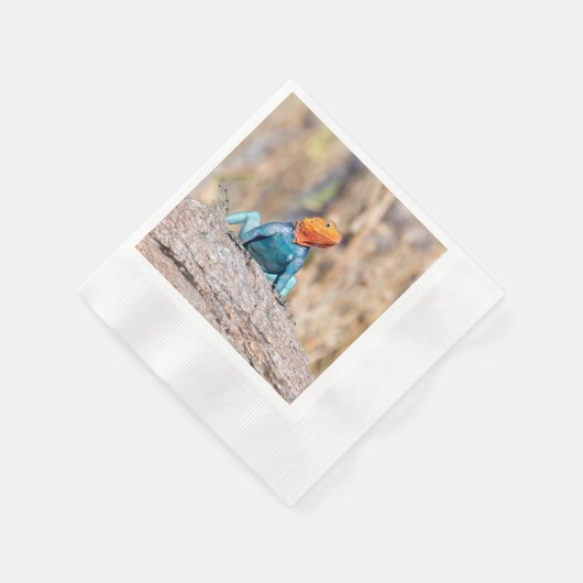 Agama Serviette (Ecke)