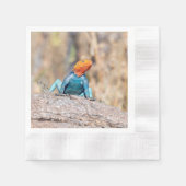 Agama Serviette (Vorderseite)
