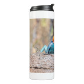 Agama Thermosbecher (Nach links gedreht)