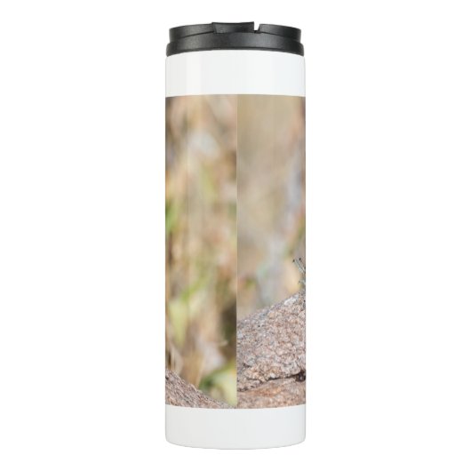 Agama Thermosbecher (Rückseite)