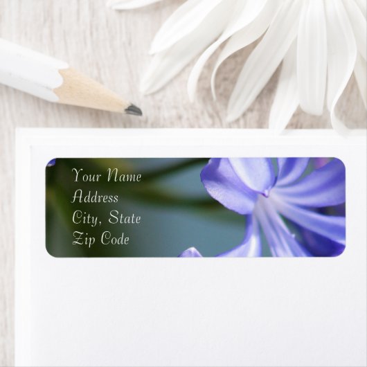 Agapanthus Blume Address Labels (Insitu)