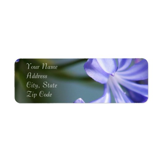 Agapanthus Blume Address Labels (Vorne)