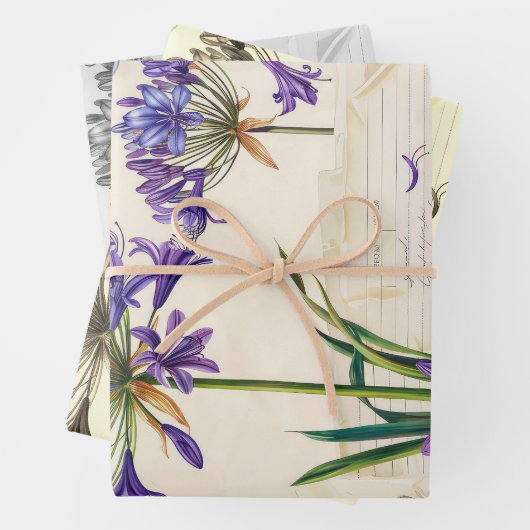 Agapanthus Blume Ephemera Collage Art Geschenkpapier Set (Beispiel)