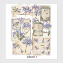 Agapanthus Blume Fussy Cut Ephemera 2