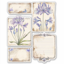 Agapanthus Blume Fussy Cut Ephemera