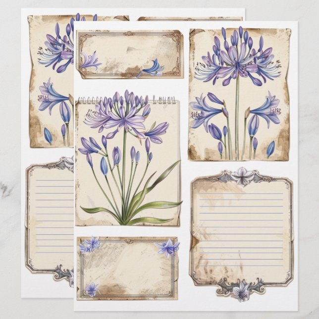Agapanthus Blume Fussy Cut Ephemera Briefbogen (Vorne/Hinten)