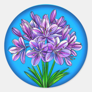 Agapanthus-Blume Runder Aufkleber