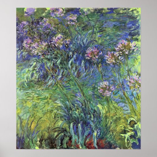 Agapanthus-Blume von Claude Monet Poster (Vorne)