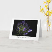 Agapanthus - Herzlichen Glückwunsch zu Ihrer Werbe Karte (Gelbe Blume)