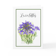 Agapanthus-Karte