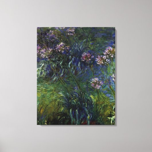 Agapanthus Leinwanddruck (Vorderseite)