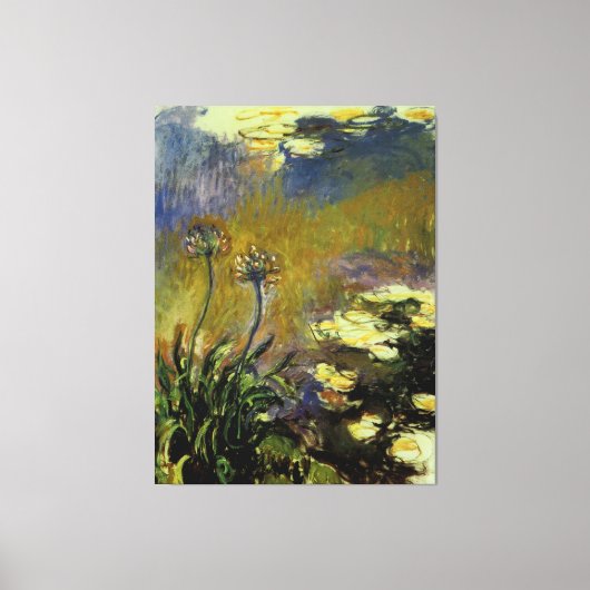 Agapanthus Leinwanddruck (Vorderseite)