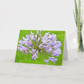 Agapanthus Lily Scripture Card 2 Korinthians 4:15 Karte (Vorderseite)