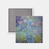 Agapanthus, Monet Magnet (Vorderseite/Rückseite)