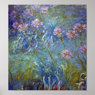 Agapanthus, Monet Poster
