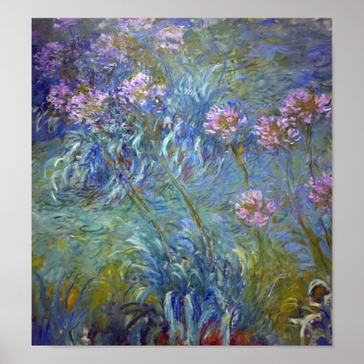Agapanthus, Monet Poster (Vorne)