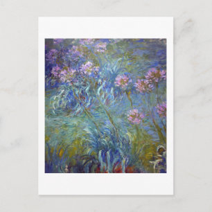 Agapanthus, Monet Postkarte