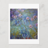 Agapanthus, Monet Postkarte (Vorderseite)